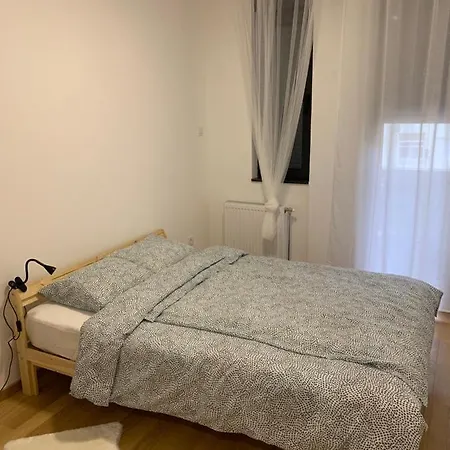 Iris Novi Sad